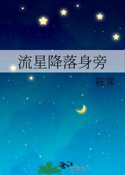 流星降落身旁封面