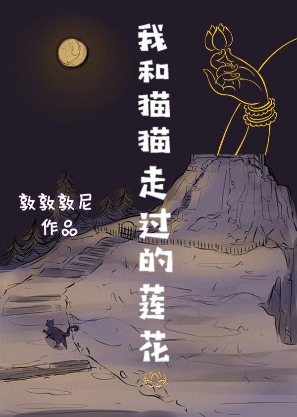 我和猫猫走过的莲花封面