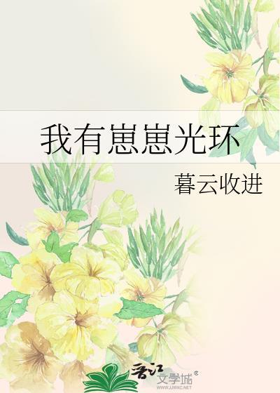 我有崽崽光环封面