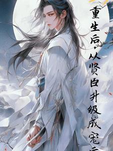 重生后，从贤臣升级成宠后封面
