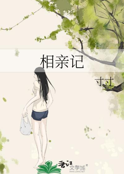 相亲记封面