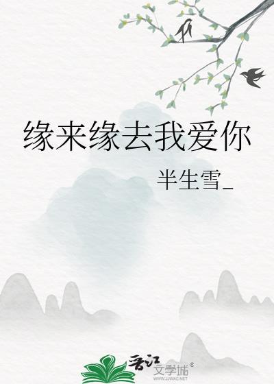 缘来缘去我爱你封面