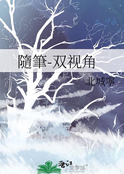 随笔-双视角封面