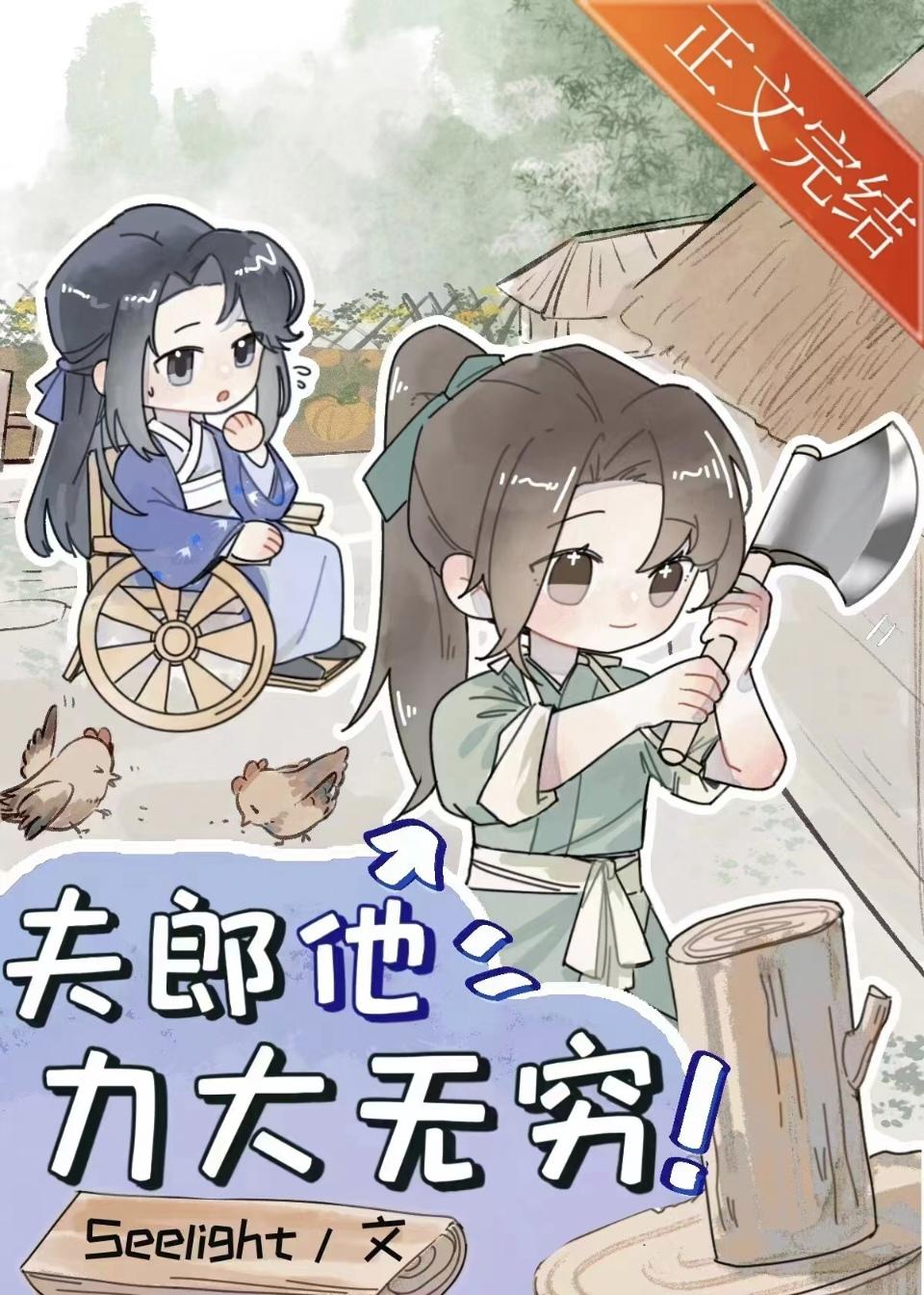 小夫郎和他的残疾赘婿封面