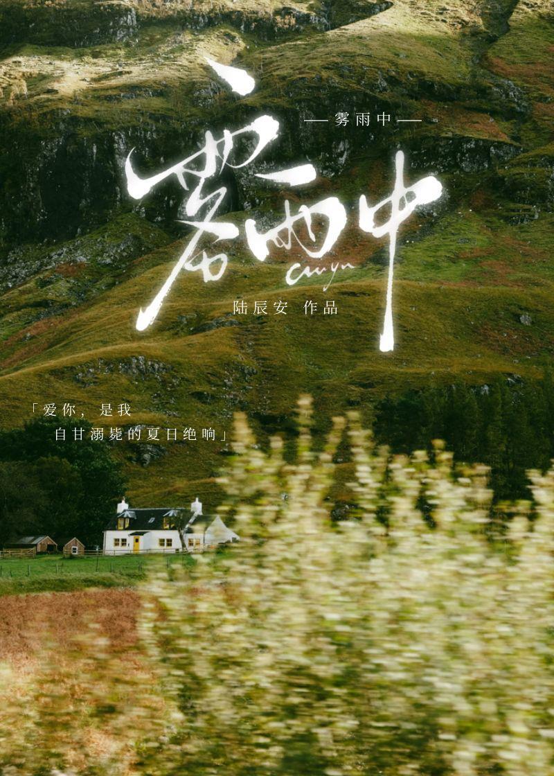 雾雨中[破镜重圆]封面