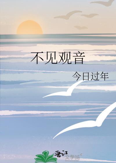 不见观音封面