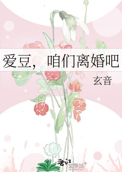 爱豆，咱们离婚吧封面