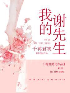 我的谢先生封面