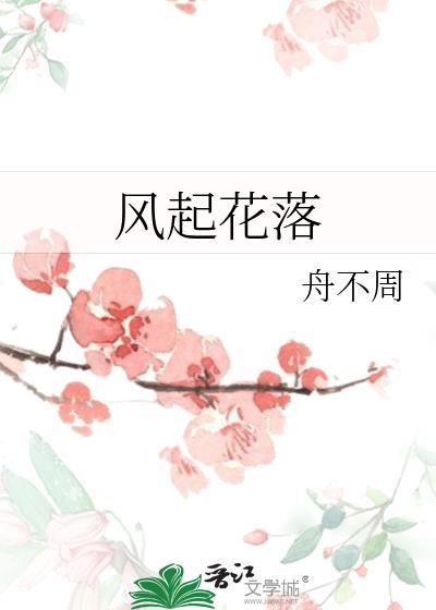 风起花落封面