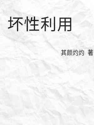 坏性利用封面