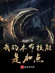 我的本命技能是加点封面