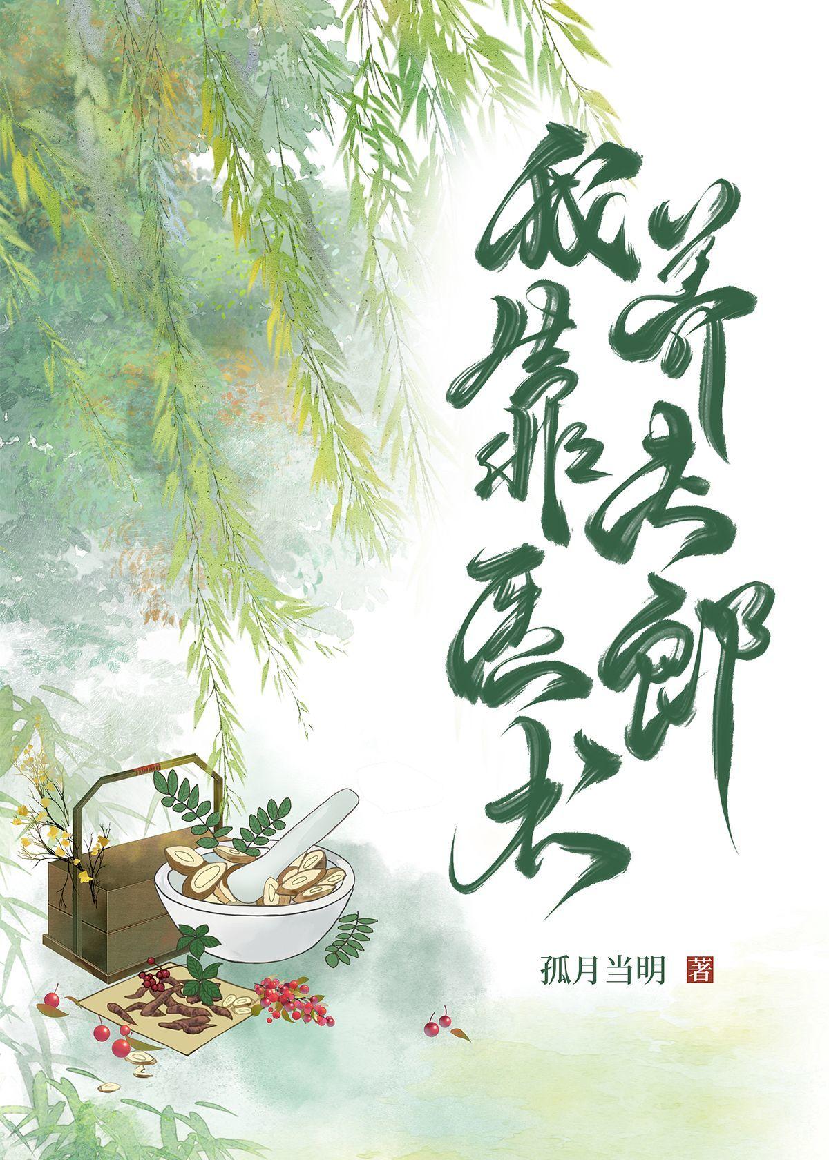 我靠医术养夫郎封面