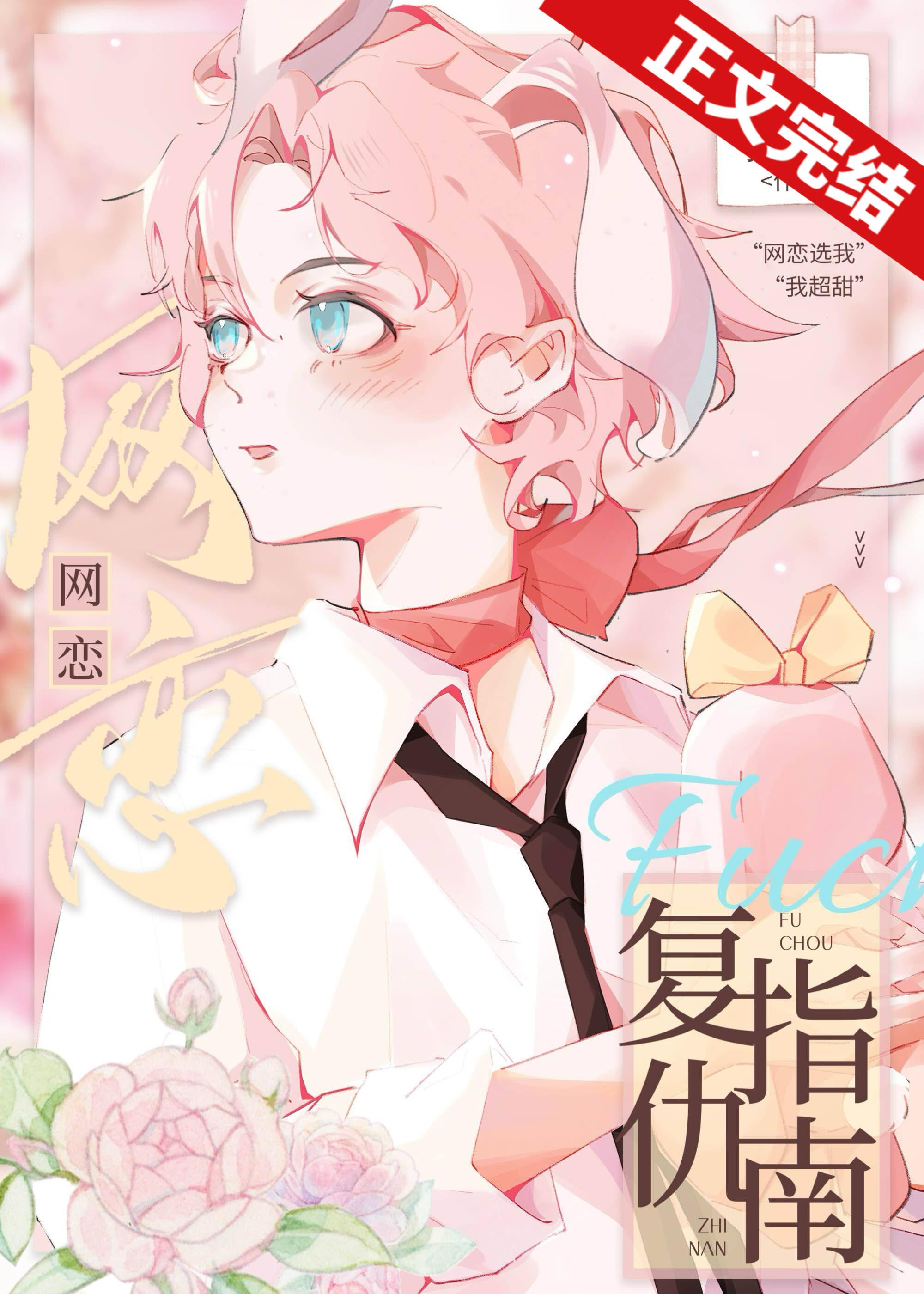网恋覆仇指南封面