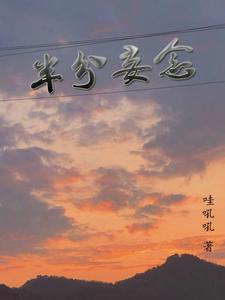 半分妄念封面