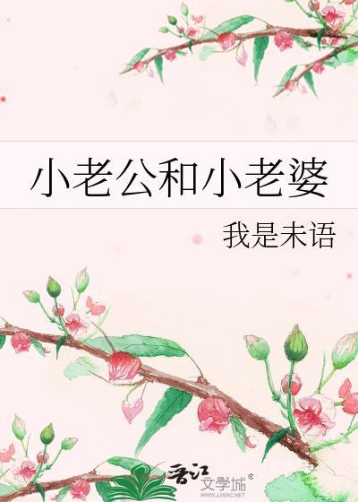 小老公和小老婆封面