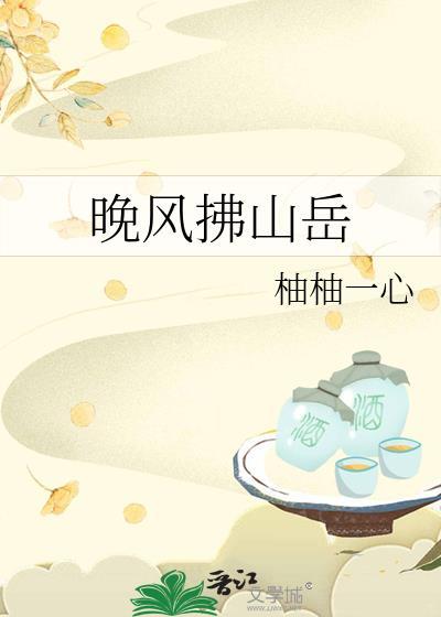 晚风拂山岳封面