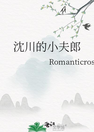 沈川的小夫郎封面