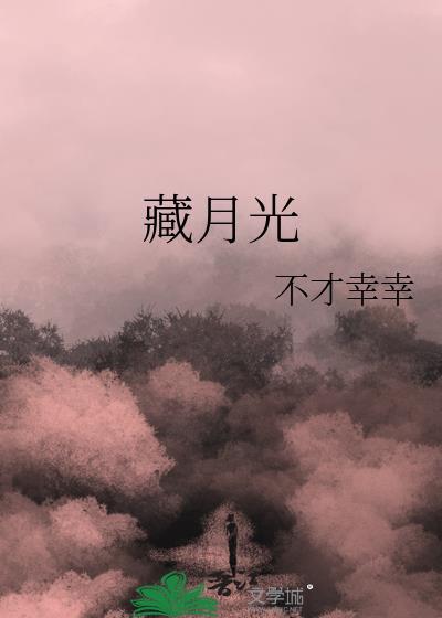 藏月光封面