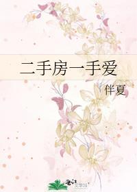 二手房一手爱封面
