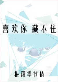 喜欢你藏不住封面