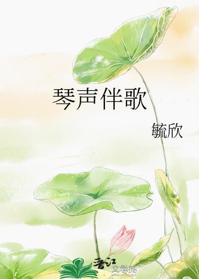 琴声伴歌封面