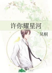 许你耀星河封面