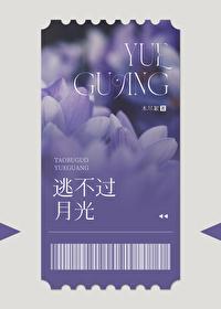 逃不过月光封面
