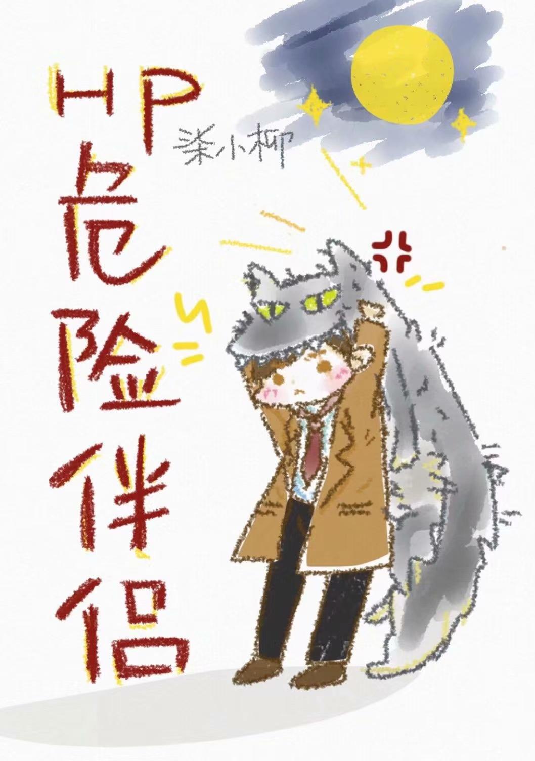 [HP(莱姆斯)]危险伴侣封面