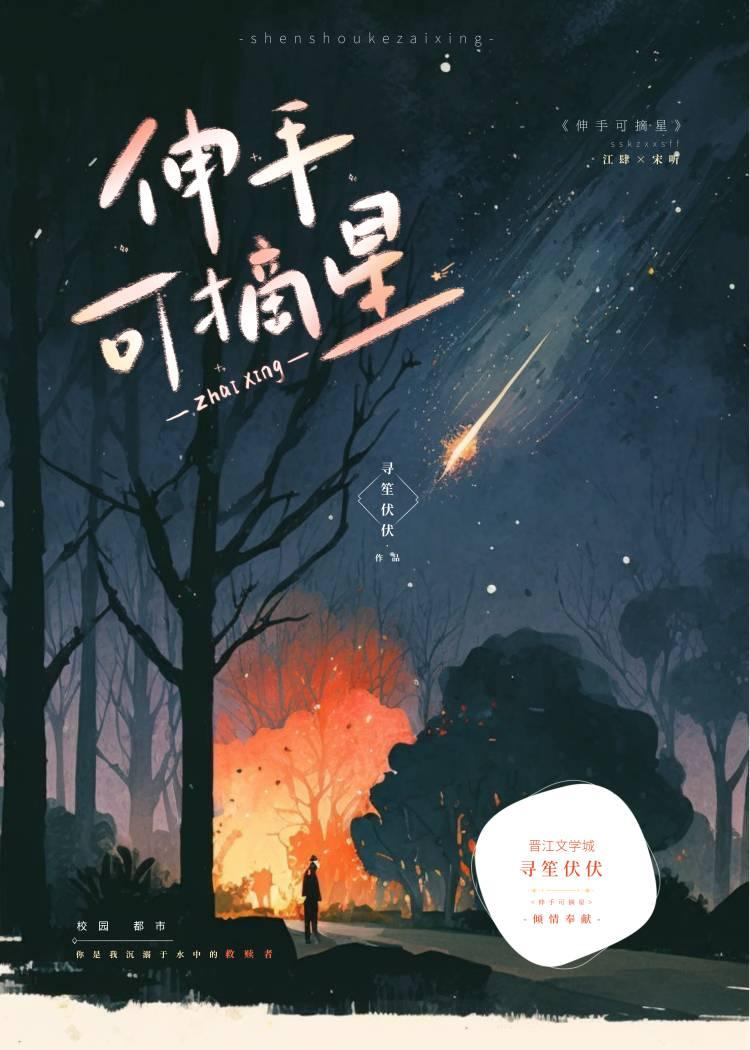 伸手可摘星封面