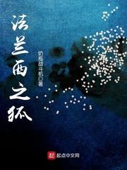 法兰西之狐封面