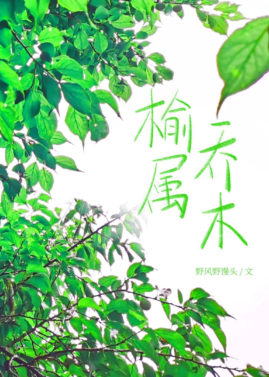 榆属乔木封面