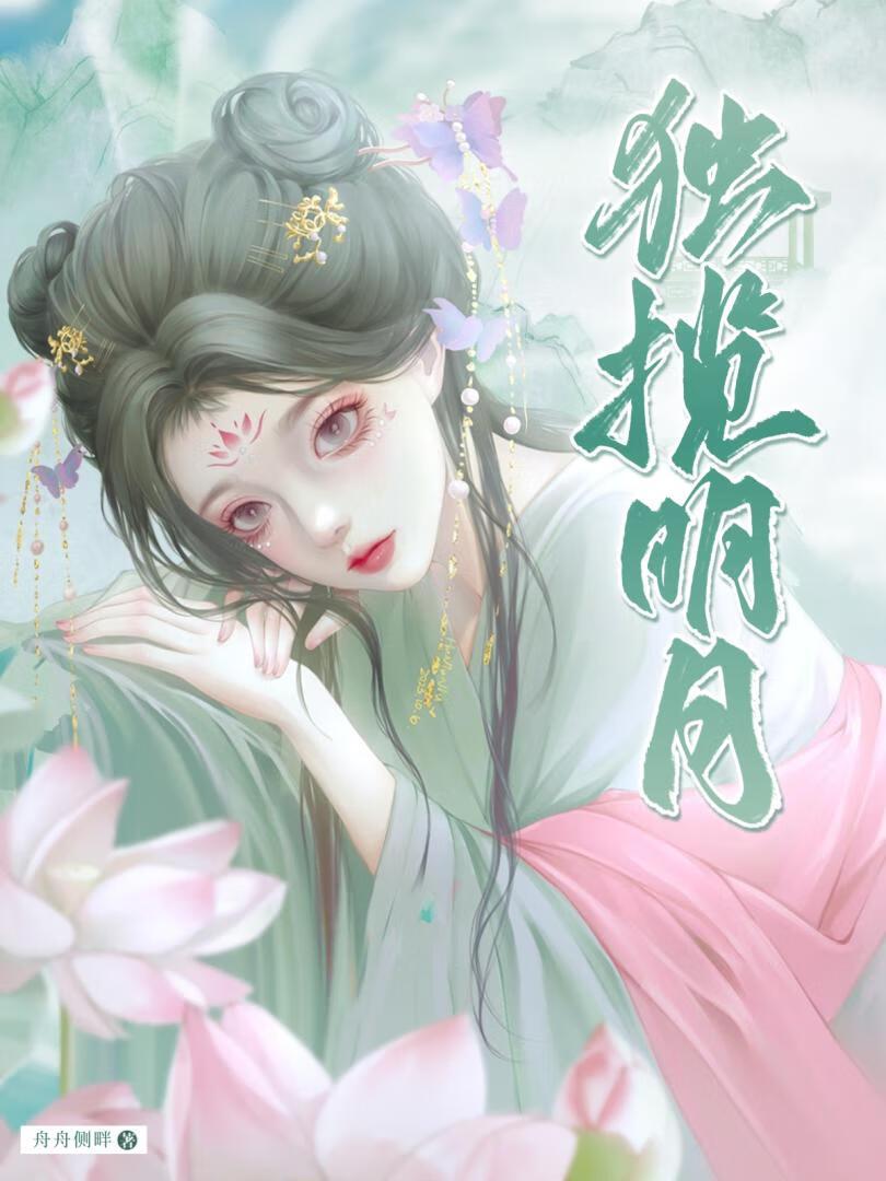 独揽明月封面