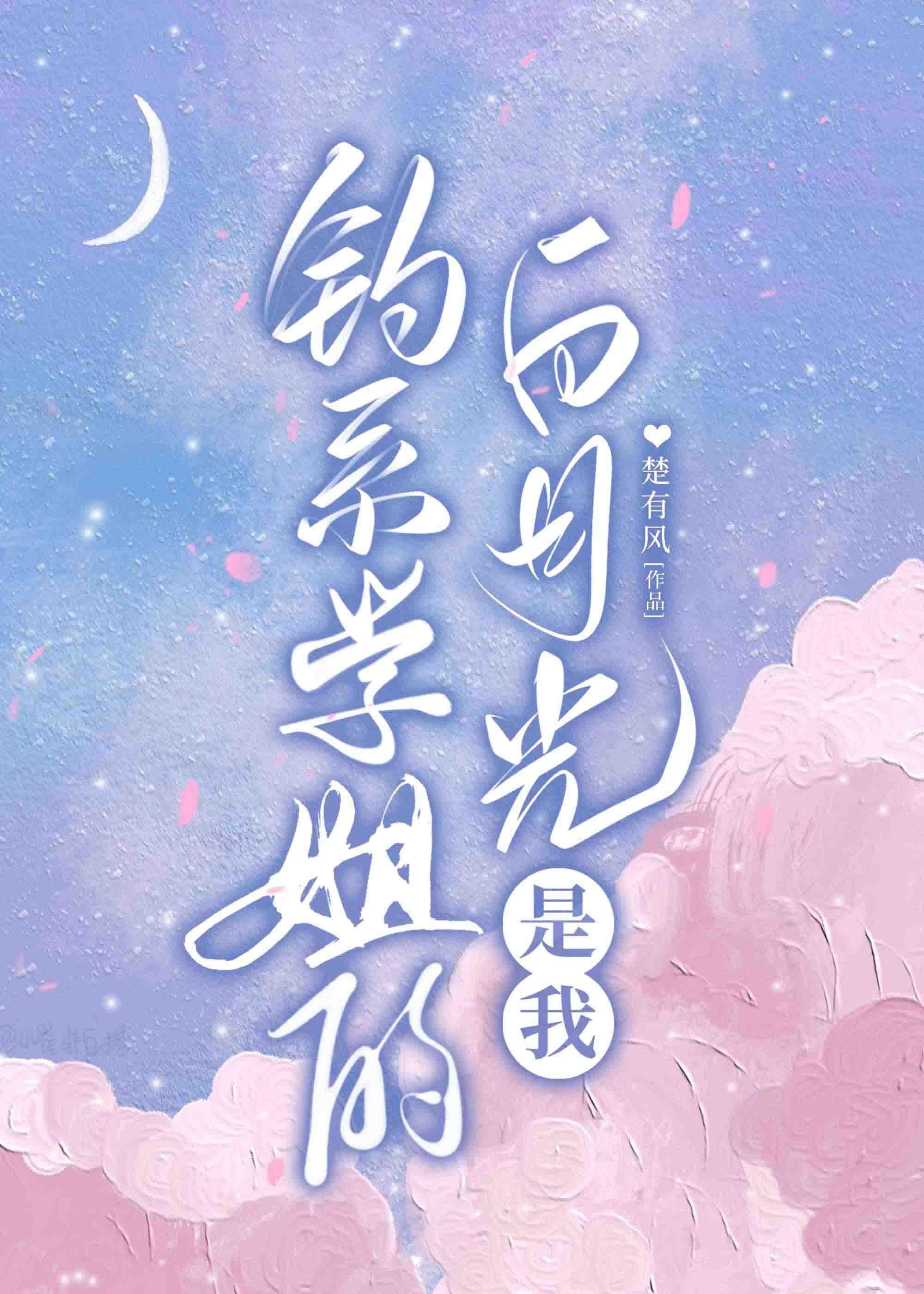 白首不渝封面