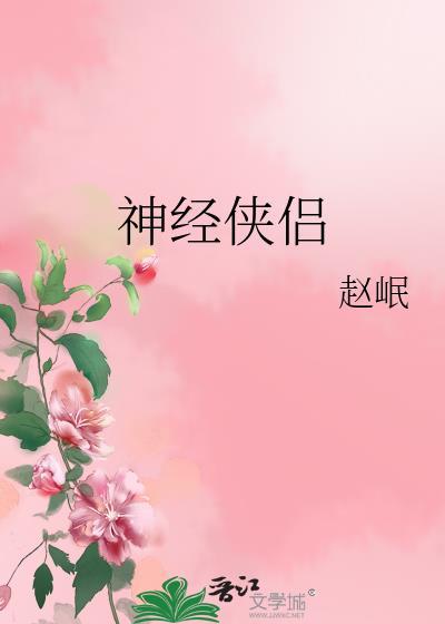 神经侠侣封面