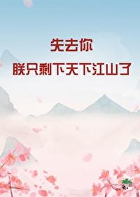 失去你，朕只剩天下江山了封面