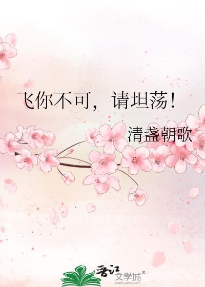飞你不可，请坦荡！封面