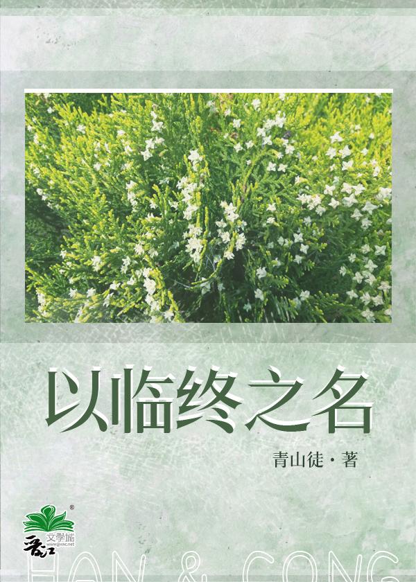 以临终之名封面