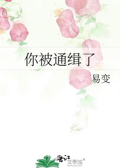 你被通缉了封面