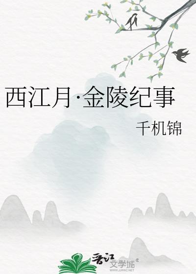 西江月·金陵纪事封面