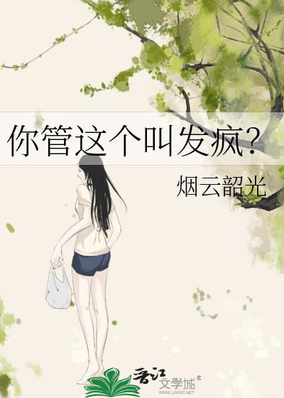 你管这个叫发疯？封面