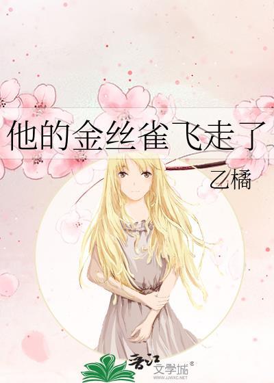 他的金丝雀飞走了封面