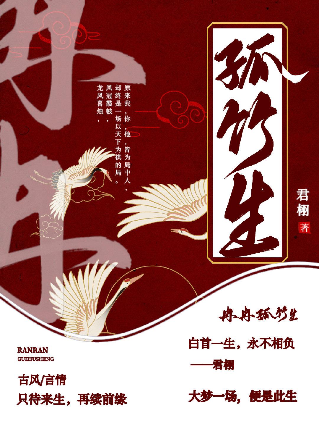 冉冉孤竹生封面