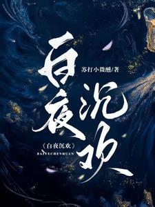 白夜沈欢封面