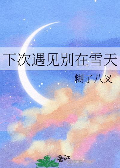 下次遇见别在雪天封面