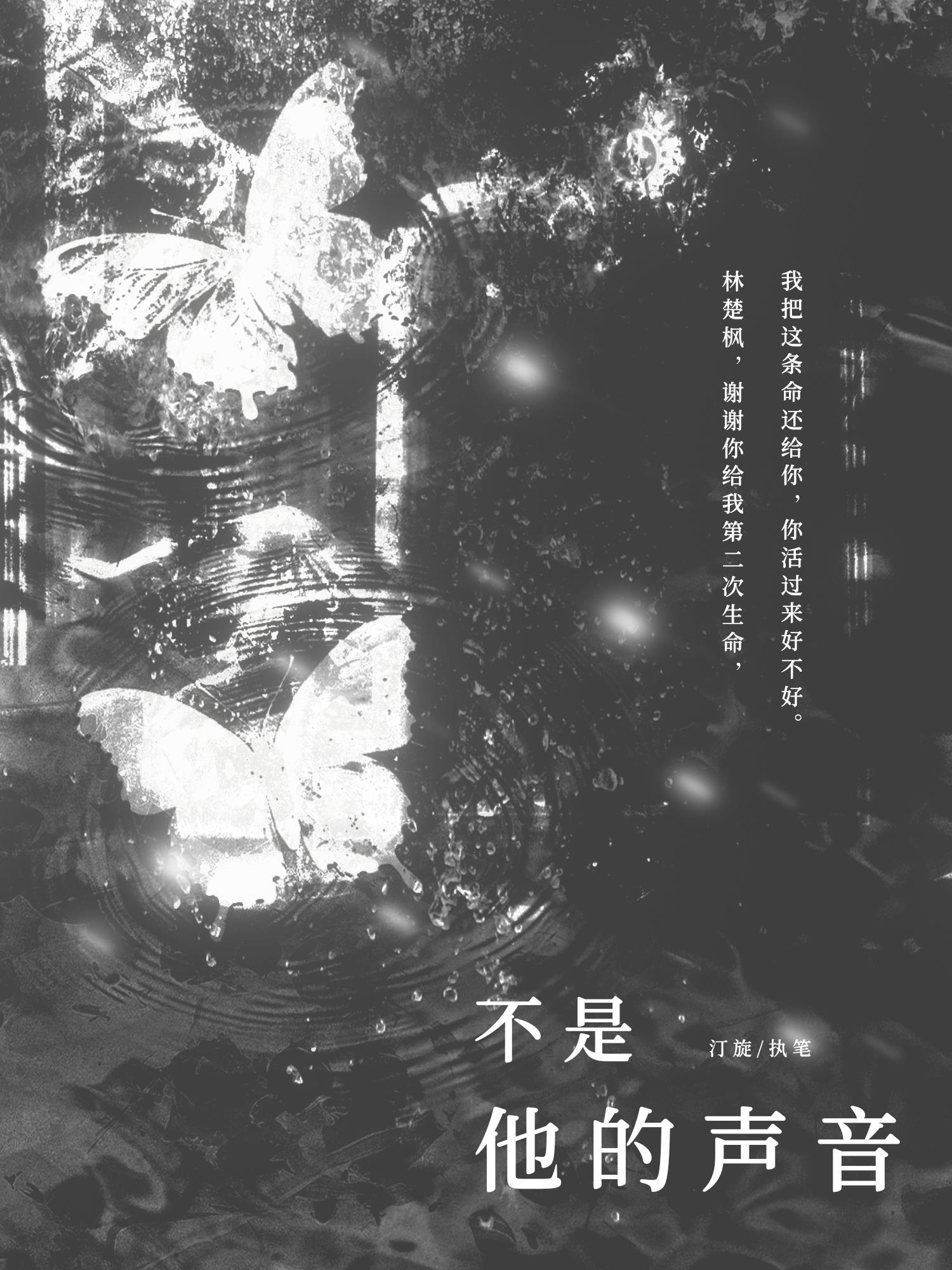 不是他的声音封面