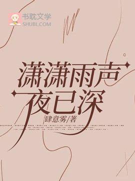 潇潇雨声夜已深封面