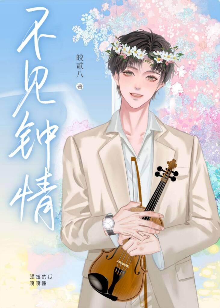 不见钟情封面