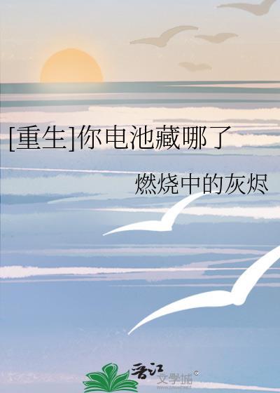 [重生]你电池藏哪了封面