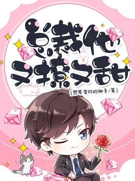 总裁他又撩又甜封面