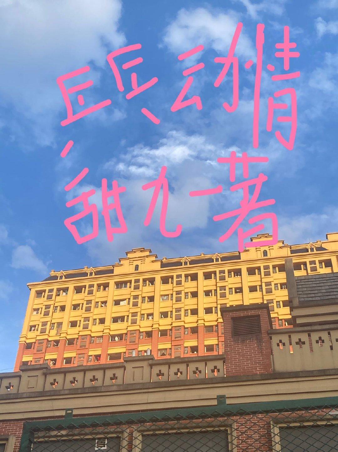 乒乓动情封面